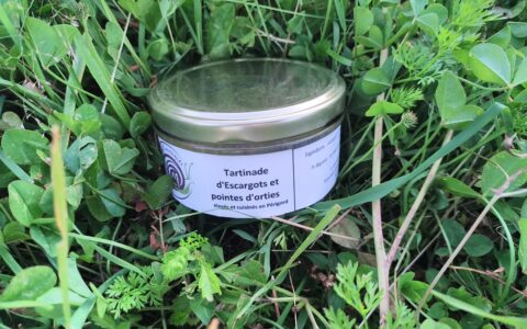 Tartinade d'escargots aux pointes d'ortie