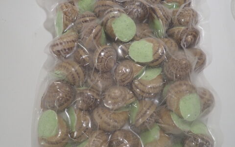 Escargots en coquilles - vrac 4 dz